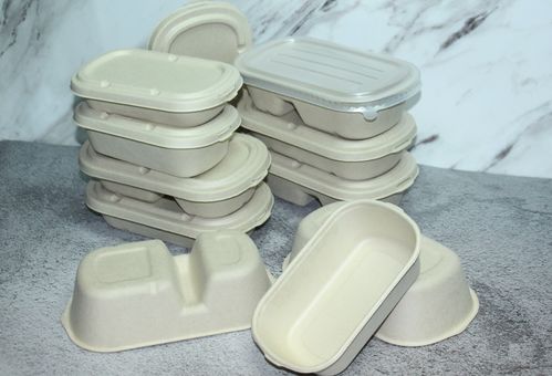 植物纖維紙漿制品分類及其在廚衛(wèi)日用領(lǐng)域的應(yīng)用 聚焦一次性可降解模塑產(chǎn)品的優(yōu)勢與挑戰(zhàn)